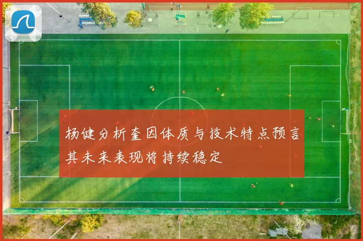 杨健分析奎因体质与技术特点预言其未来表现将持续稳定