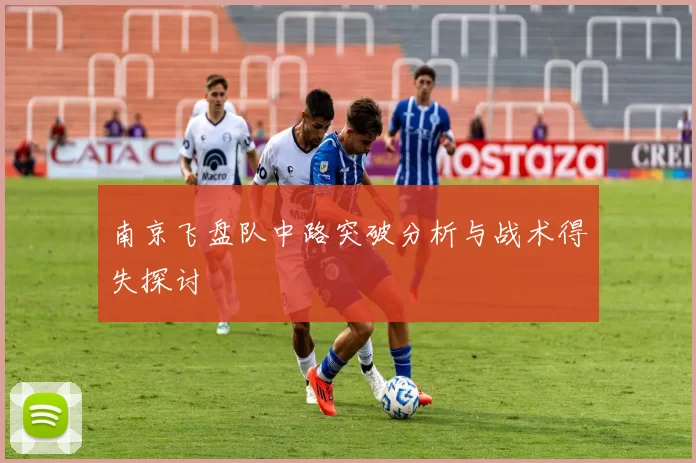 南京飞盘队中路突破分析与战术得失探讨