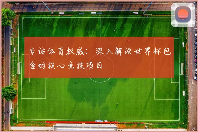 专访体育权威:深入解读世界杯包含的核心竞技项目