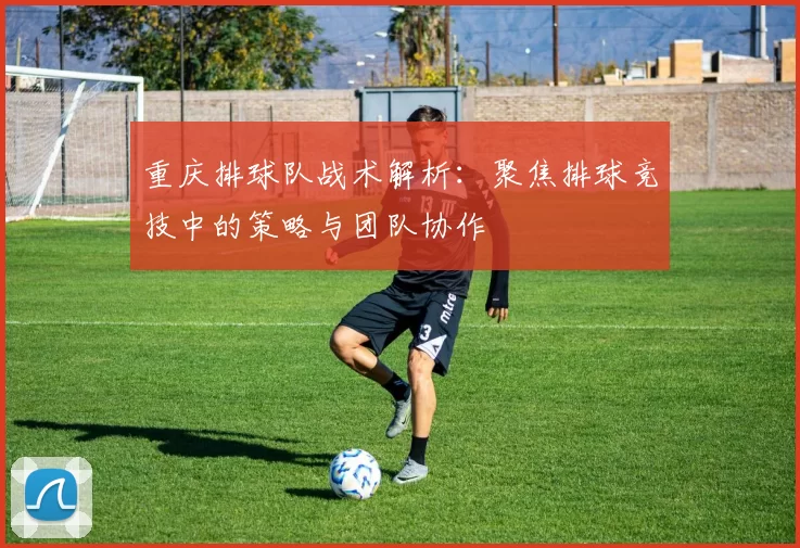 重庆排球队战术解析:聚焦排球竞技中的策略与团队协作