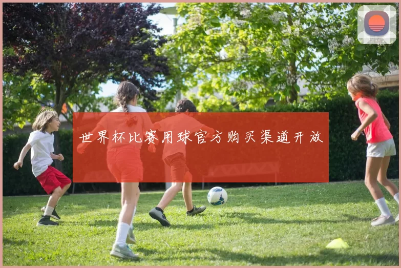 世界杯比赛用球官方购买渠道开放