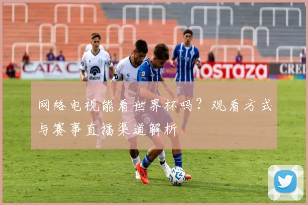 网络电视能看世界杯吗?观看方式与赛事直播渠道解析