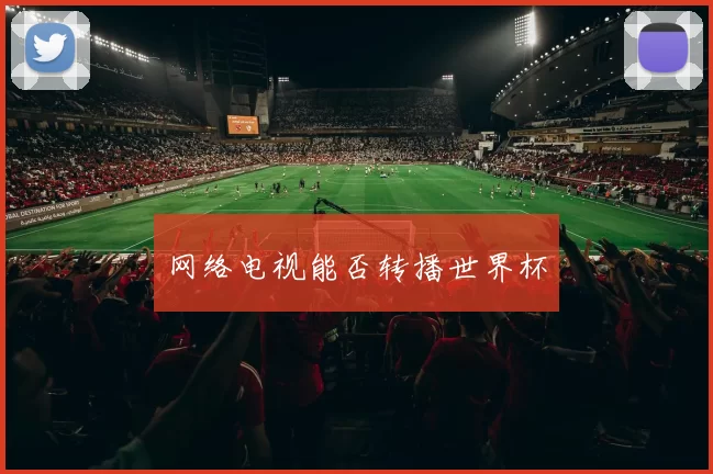 网络电视能否转播世界杯
