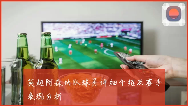 英超阿森纳队球员详细介绍及赛季表现分析