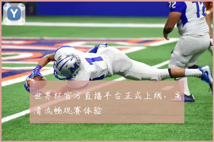 世界杯官方直播平台正式上线,高清流畅观赛体验