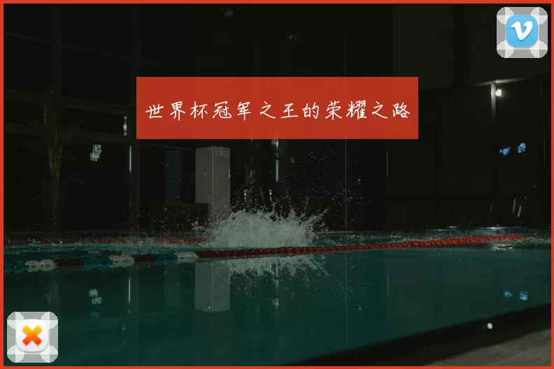 世界杯冠军之王的荣耀之路