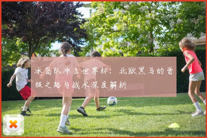 冰岛队冲击世界杯:北欧黑马的晋级之路与战术深度解析