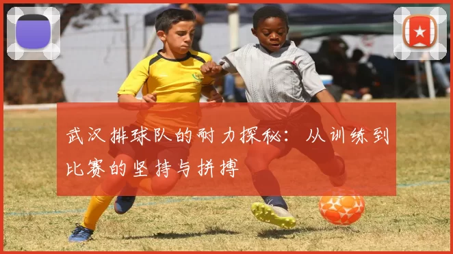 武汉排球队的耐力探秘:从训练到比赛的坚持与拼搏