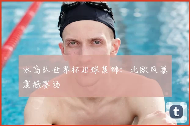 冰岛队世界杯进球集锦:北欧风暴震撼赛场