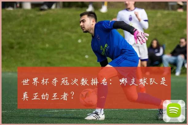 世界杯夺冠次数排名:哪支球队是真正的王者?