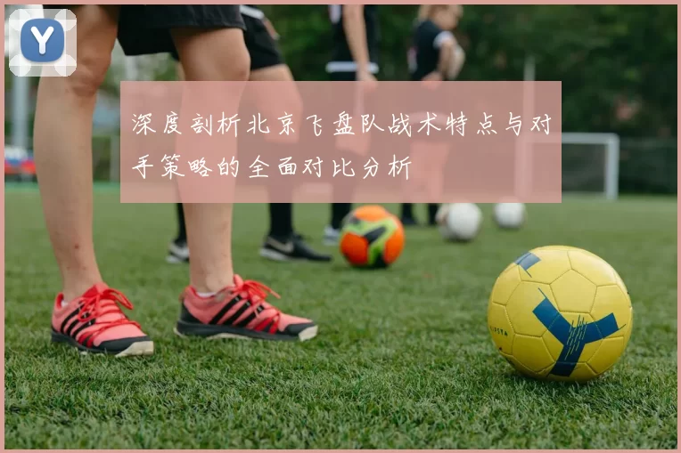 深度剖析北京飞盘队战术特点与对手策略的全面对比分析