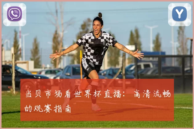 当贝市场看世界杯直播:高清流畅的观赛指南