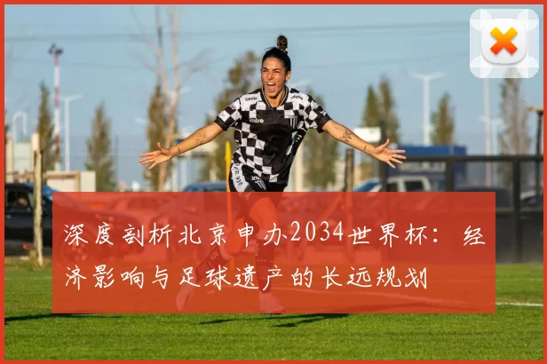 深度剖析北京申办2034世界杯:经济影响与足球遗产的长远规划