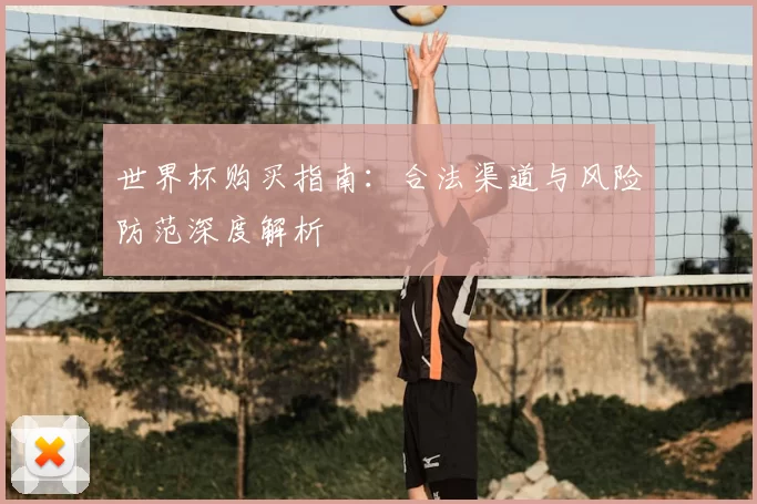 世界杯购买指南:合法渠道与风险防范深度解析