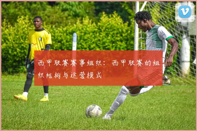 西甲联赛赛事组织:西甲联赛的组织结构与运营模式