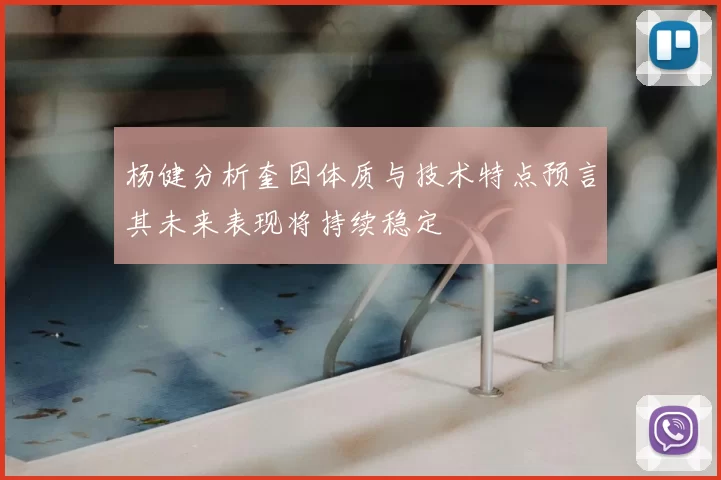 杨健分析奎因体质与技术特点预言其未来表现将持续稳定