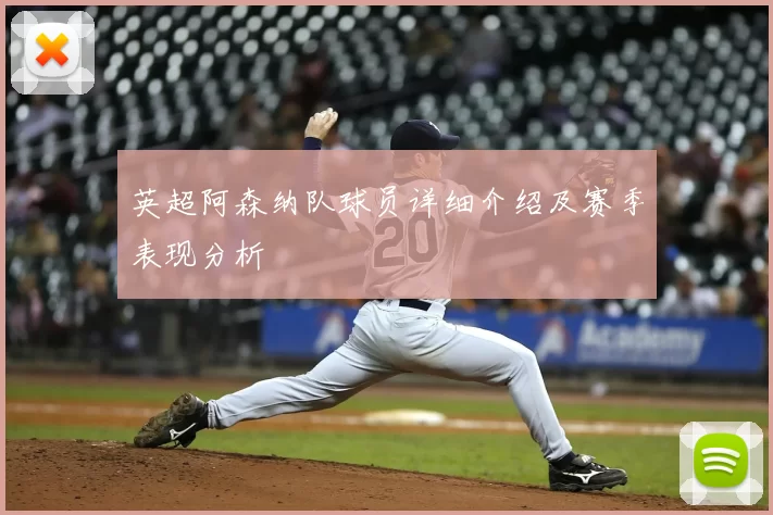 英超阿森纳队球员详细介绍及赛季表现分析