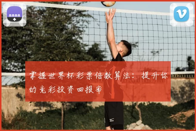 掌握世界杯彩票倍数算法:提升你的竞彩投资回报率