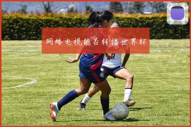 网络电视能否转播世界杯