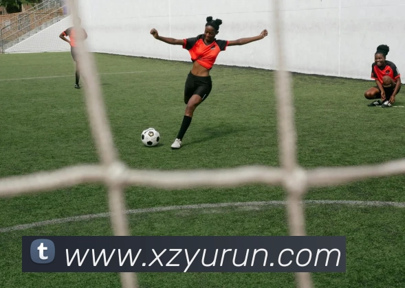 买球官网平台生态图